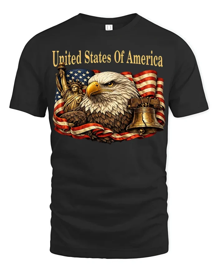American Eagle United States Of America Patriotic Graphic T Shirt - black t-shirt on white background